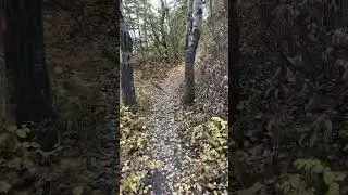 Hiking a coulee in Calgary