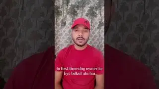 5 dog breed not for first time owner #dog #trending #viral