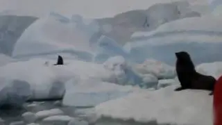 Antarctica Waters 2