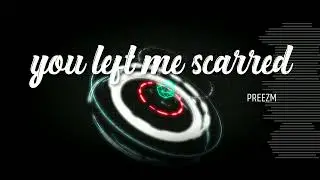 PREEZM you left me scarred