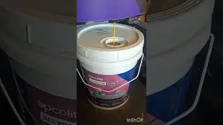Asian Paints Apcolite All Protek Shyne