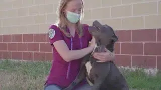 ACC Vet Tech Program - 
