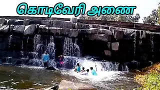 கொடிவேரி அருவி & அணை, ஈரோடு மாவட்டம், அருமையான சுற்றுலா தளம்//Kodiveri Falls & Dam, Erode Dt. //
