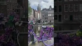 Amsterdam is a city where every corner tells a story