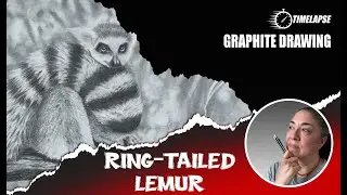 Ringtailed Lemur in Graphite - Draw with Me!