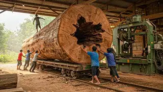 Giant Teak Log Sawmill - Single Pass Plank Separation