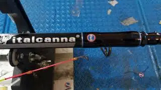 italcanna FORMENTERA 3.30