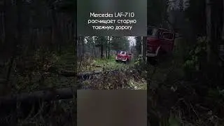 Мерседес и ёлка #mercedesbenz #truck #offroad #siberia #тайга #бездорожье #4x4