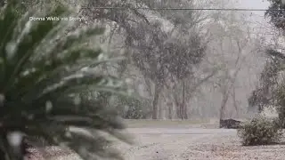 CAUGHT ON CAMERA: Snow falls in the Florida Panhandle