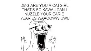 A Catgirl?! SUCH KAWAII!