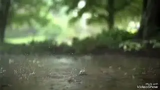 30 minutes of gentle rain sound 🌧️🌿,(rain sounds for meditation, relaxation and study).