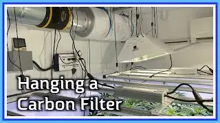 Hanging a Carbon Filter in a Cannabis Grow Room - A quickie
