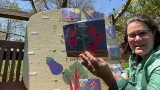 Grow It Green Morristown Seed to Table lesson for K-2