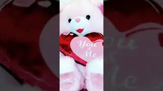 beautiful teddy status || new song || new teddy bear status 💞🐻