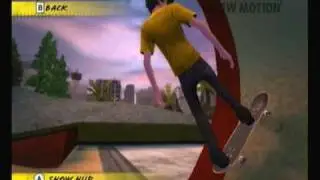 Wii Ea Skate it - Double loop
