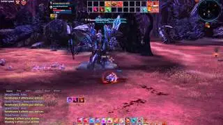 TERA lvl54 Warrior Gameplay - Soloing Inexorable Akalath Warlord BAM