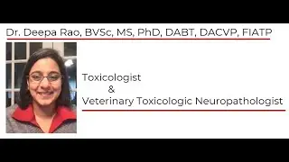 Interview of Dr. Deepa Rao, a toxicologist and veterinary toxicologic neuropathologist