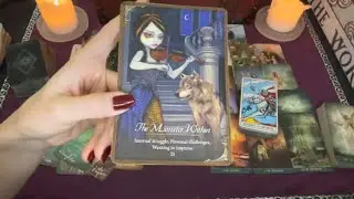 Virgo A Deeper Look at Your Situation, Gratification, and its Delays