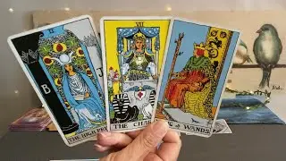 LEO Tarot August 2022&ndash;You take one step, the universe takes two❤️💰🌎