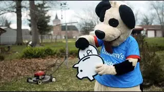 Toby's Top Dog