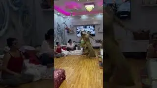 Zordar dance 💃 #shorts #shortsvideo #youtubeshorts #khushi