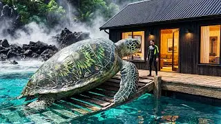 Rescue Team Creates a Home for a Giant Homeless Sea Turtle After Years Alone