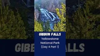 Gibbon Falls 0.5 mile trail - 84 ft. Waterfall - Yellowstone National Park | Day 4 (Part 1)