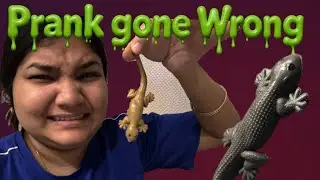 Lizard Prank Gone Wrong 😱|| Yeh Prank Galat Ho Gaya 💀 | Family Reaction on Fake Chipkali! 
