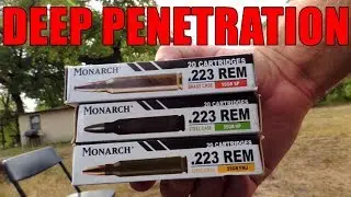 .223 DEEP PENETRATION- SP vs HP vs FMJ