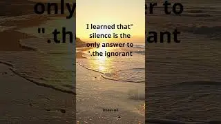Silence Ignorance Wisdom Communication Conflict Dignity Teaching Challenges Misinterpretation.