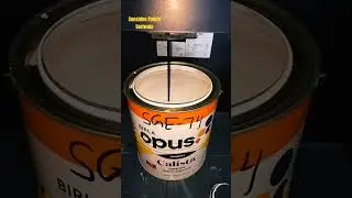 Birla Opus paint #jswpaints #paint #asianpaints #birlaopus #birla #song #opuswale #homeimprovement