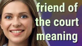 Friend of the court | meaning of Friend of the court