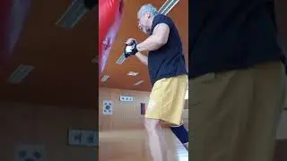 Old fighter