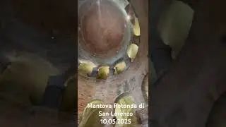 Mantova Rotonda di San Lorenzo 10.05.2025 #news #new #mantova #travel