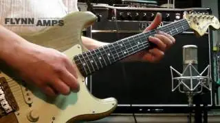 Flynn Amps Rory Gallagher Hawk - Moonchild