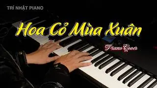 Hoa Cỏ Mùa Xuân Piano | Trí Nhật Piano Cover x Synthesia