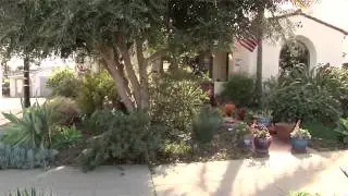 Designing a Water Wise Garden to Save Our Water