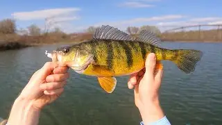 Reservoir Gold &ndash; Spring Walleye & Jumbo Perch!