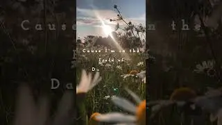 Dandelions🌻 | Lyrics | #ashortaday #dandelionslyrics #likesharesubscribe #lyrics