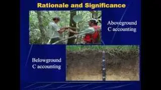 Mark Baah-Acheamfour: Soil Carbon Pools in Three Agroforestry Systems in Alberta
