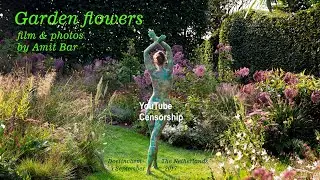 Art video: Garden flowers by Amit Bar.  EDSA content.