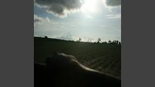 Mesmerized
