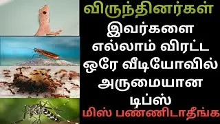 இது தெரிஞ்சுகிட்டீங்க இனிமேல் கடைகளில் வாங்க மாட்டீங்க|how to get rid cockroach,lizard,ants,etc