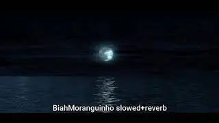Stay (Slowed+Reverb | BiahMoranguinho)