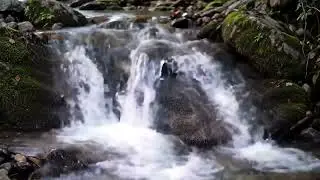 Soft Sound Environment for Quiet Mind