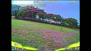 (Rcinpower Wasp Major 2020Kv) Very fast but my battery dead