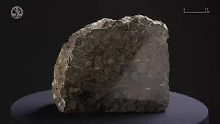 Bioclastic crinoidal rudstone