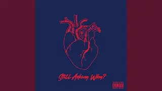STILL ASKING WHY?