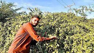 New Challenge | 1 Hii Clip Mai 5 Mint Ka Vlog
