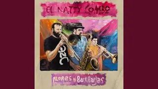 Flores y Burbujas
